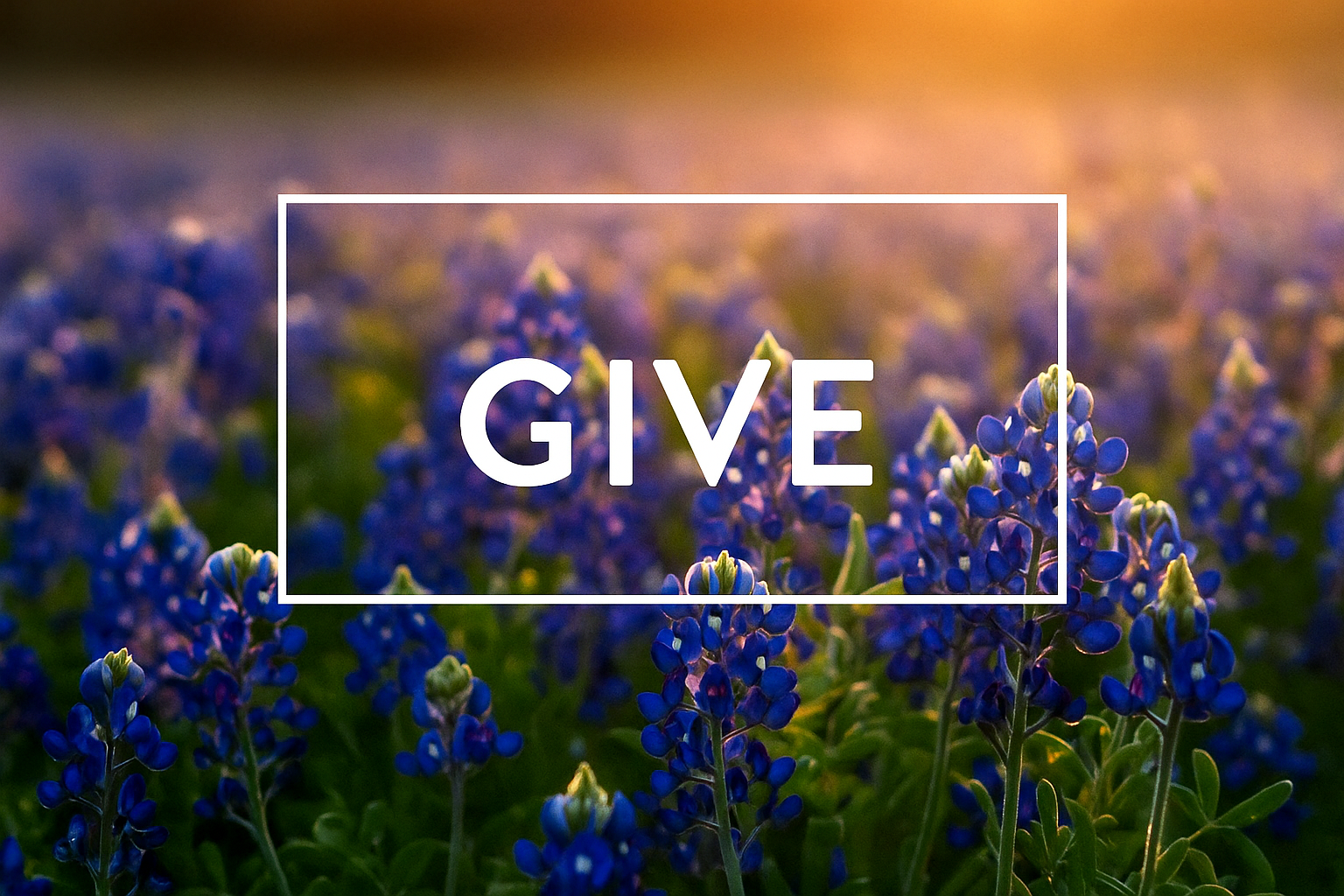 give.png